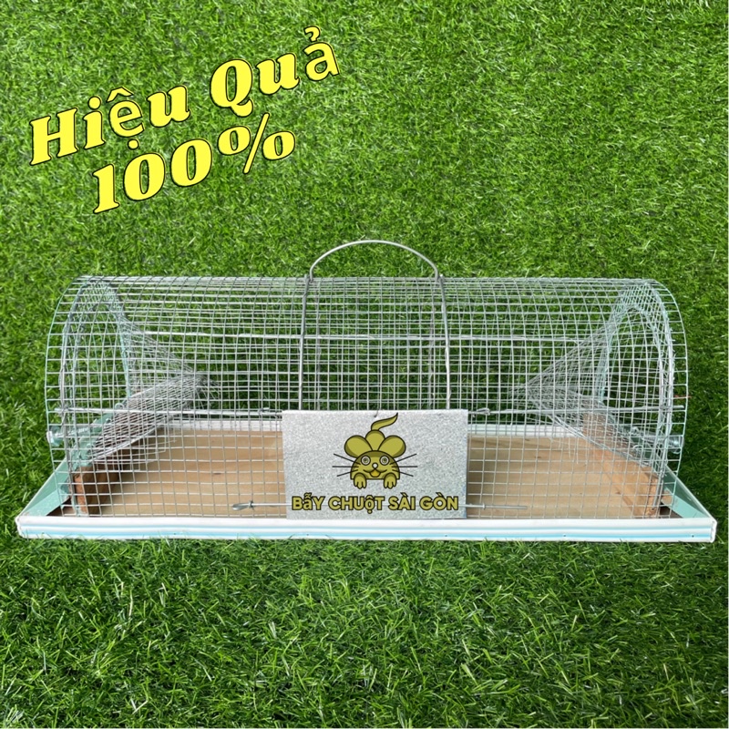 Bẫy Chuột Thông Minh 2 Cửa - [Loại Trung]