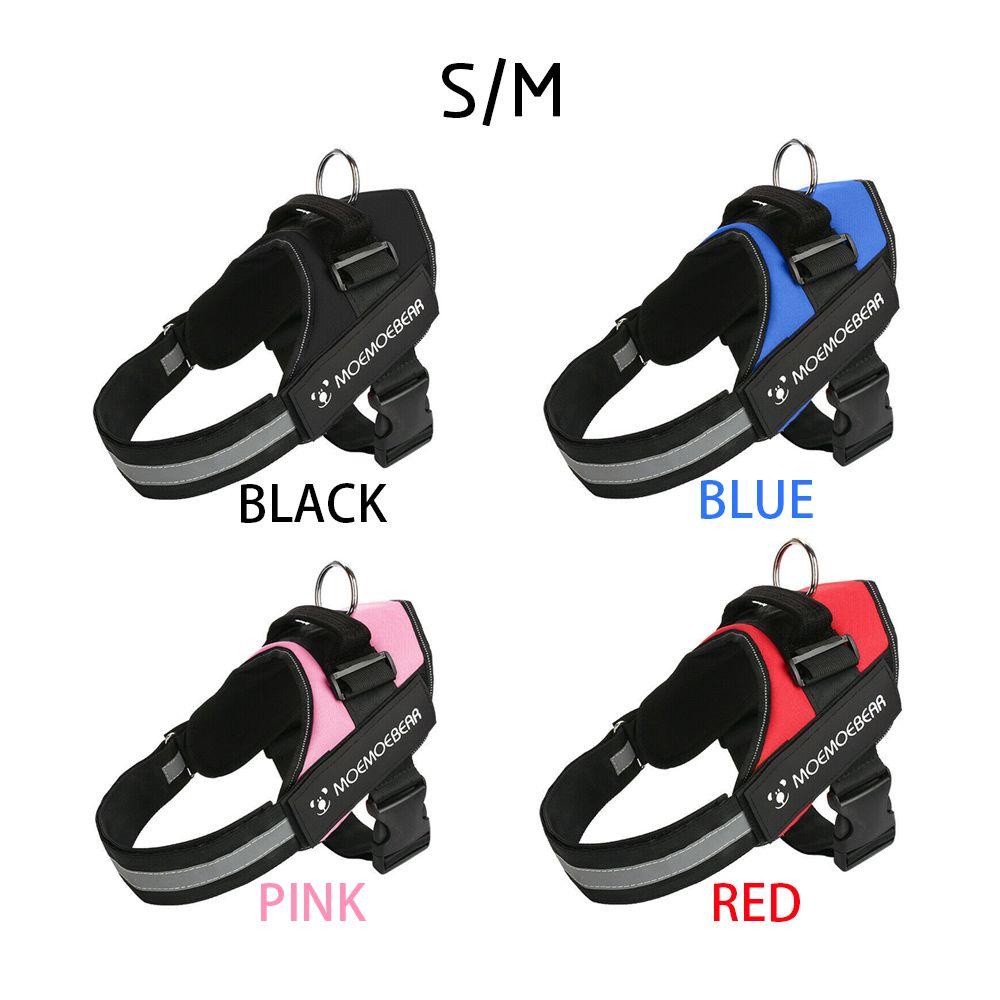 Dây Dắt Thú Cưng Đi Dạo Không Cần Kéo Có Thể Điều Chỉnh LAYOR1