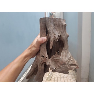 Lũa Ống rỗng cho hồ thủy sinh - vân gỗ đẹp