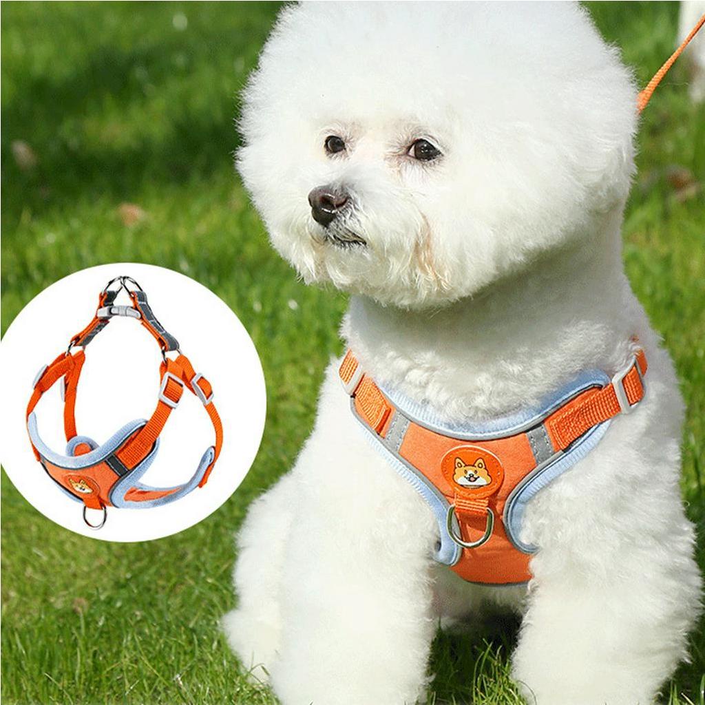 Elsabell. Dây dắt thú cưng đi dạo có yếm và sợi phản quang thoáng khí, đủ mọi kích thước, tay cầm vừa vặn