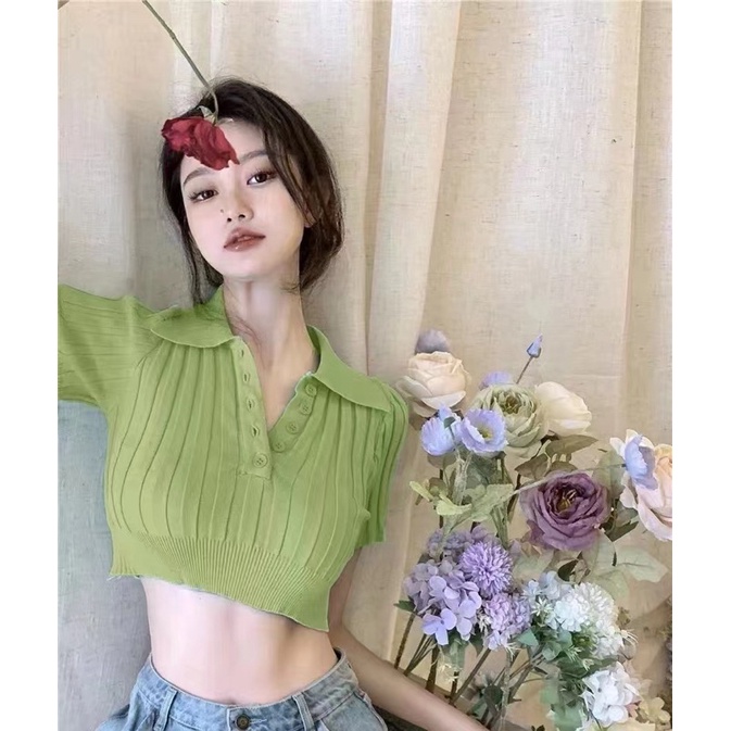 áo len dệt kim croptop cổ đức khuy cài (m81#)