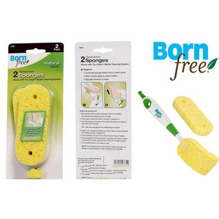 Cọ bình sữa BornFree