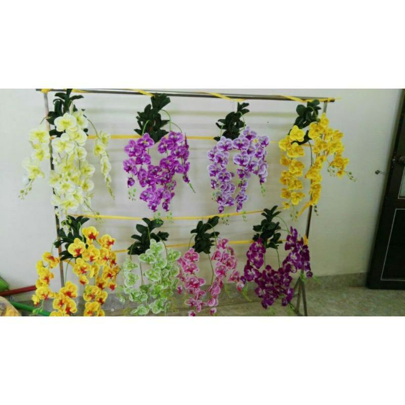 LAN TREO TƯỜNG.HÀNG ĐẸP ,GIÁ RẺ