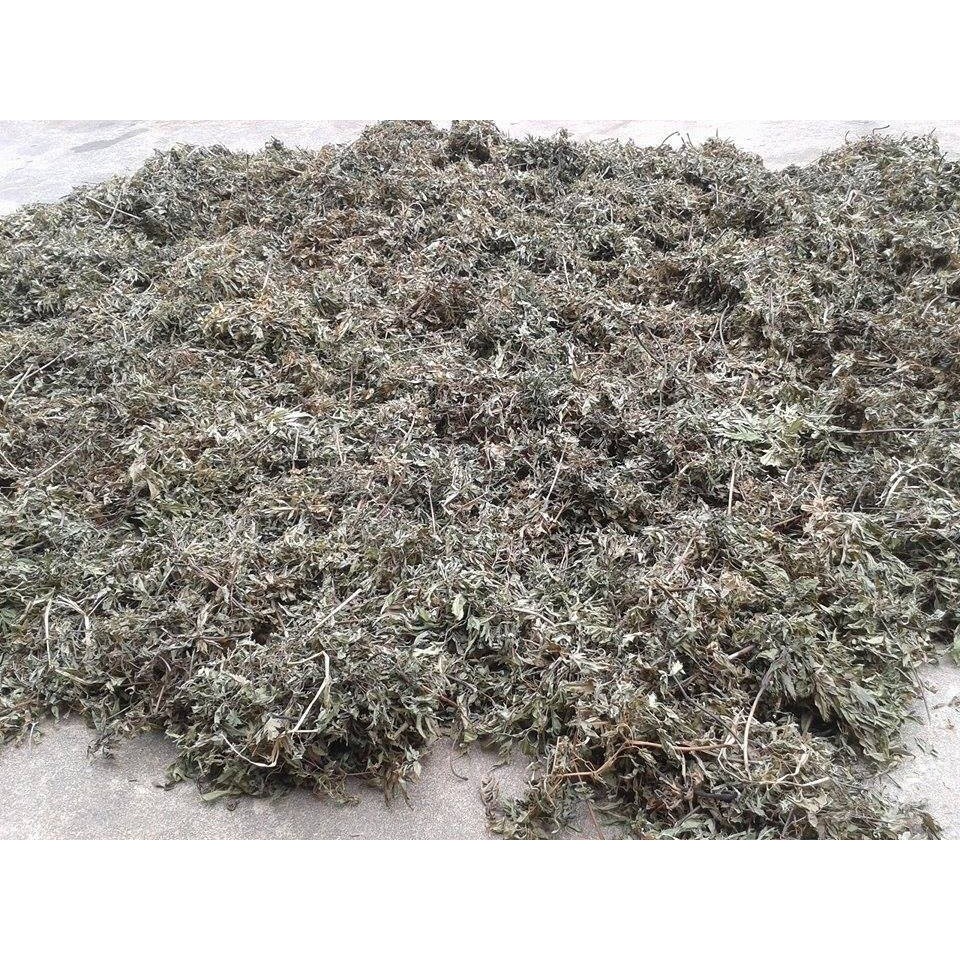 Cao đinh lăng 100 gram