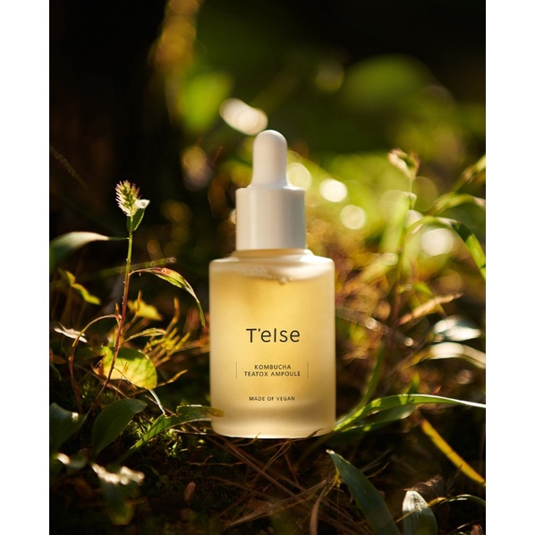 Dòng dưỡng Kombucha thuần chay TELSE KOMBUCHA TEATOX