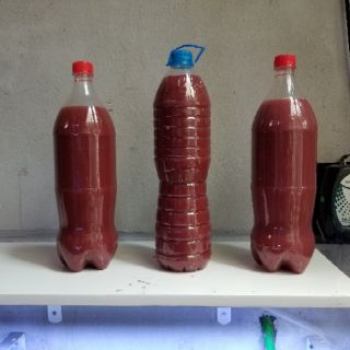 Vi sinh PSB Plus ( chai 1500 ml)