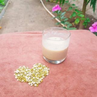 BỘT BỔ SUNG PROTEIN THỰC VẬT