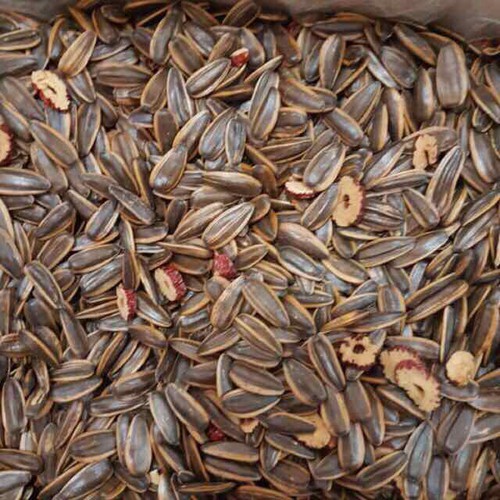 500gr Hướng Dương tẩm vị Dừa, Óc chó siêu ngon