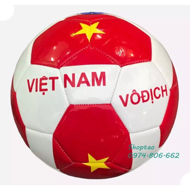 Bóng đá Động Lực số 4, số 5 hình Việt Nam vô địch