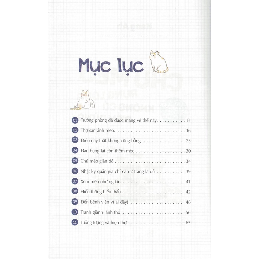 Sách - Chú Mèo Rụng Lông Không Có Điểm Dừng