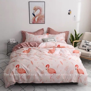 Set chăn ga gối cotton poly 4 món - hạc hồng