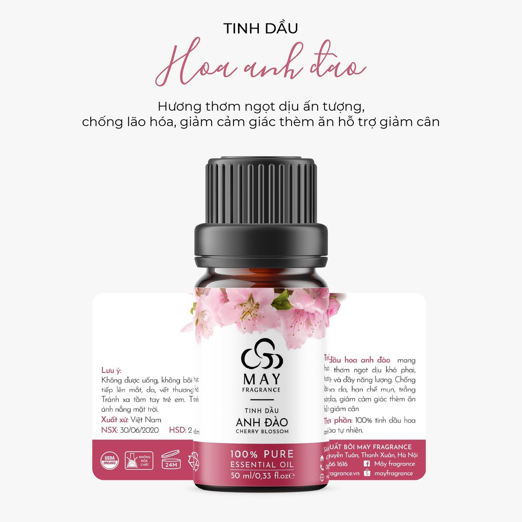 Tinh dầu Hoa anh đào thiên nhiên thơm phòng May Fragrance lọ 10 ml | Có kiểm nghiệm GC - MS