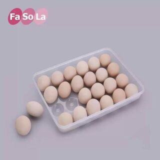 HỘP ĐỰNG TRỨNG 24 QUẢ