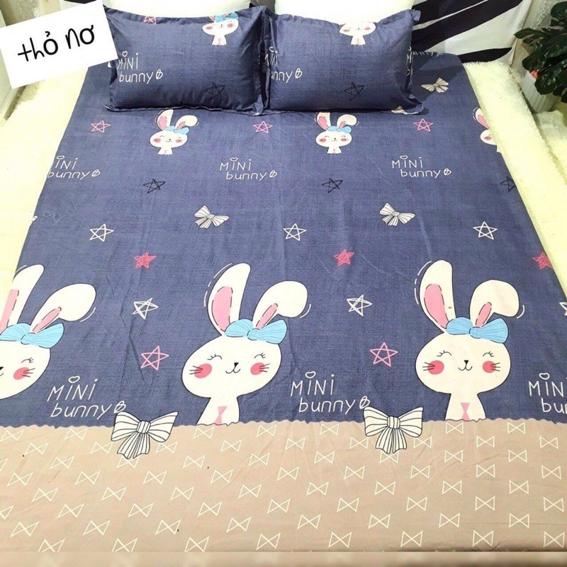 (FREESHIP) Combo 4 món bộ drap ga giường chất liệu cotton poly hàn quốc | BigBuy360 - bigbuy360.vn