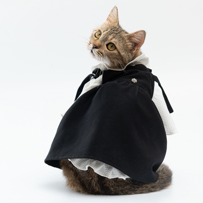 Váy yếm hàng hiệu bánh bèo cho thú cưng - SaboCoco - Momo dress