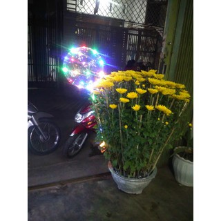 Bong Bóng Galaxy- có tay cầm