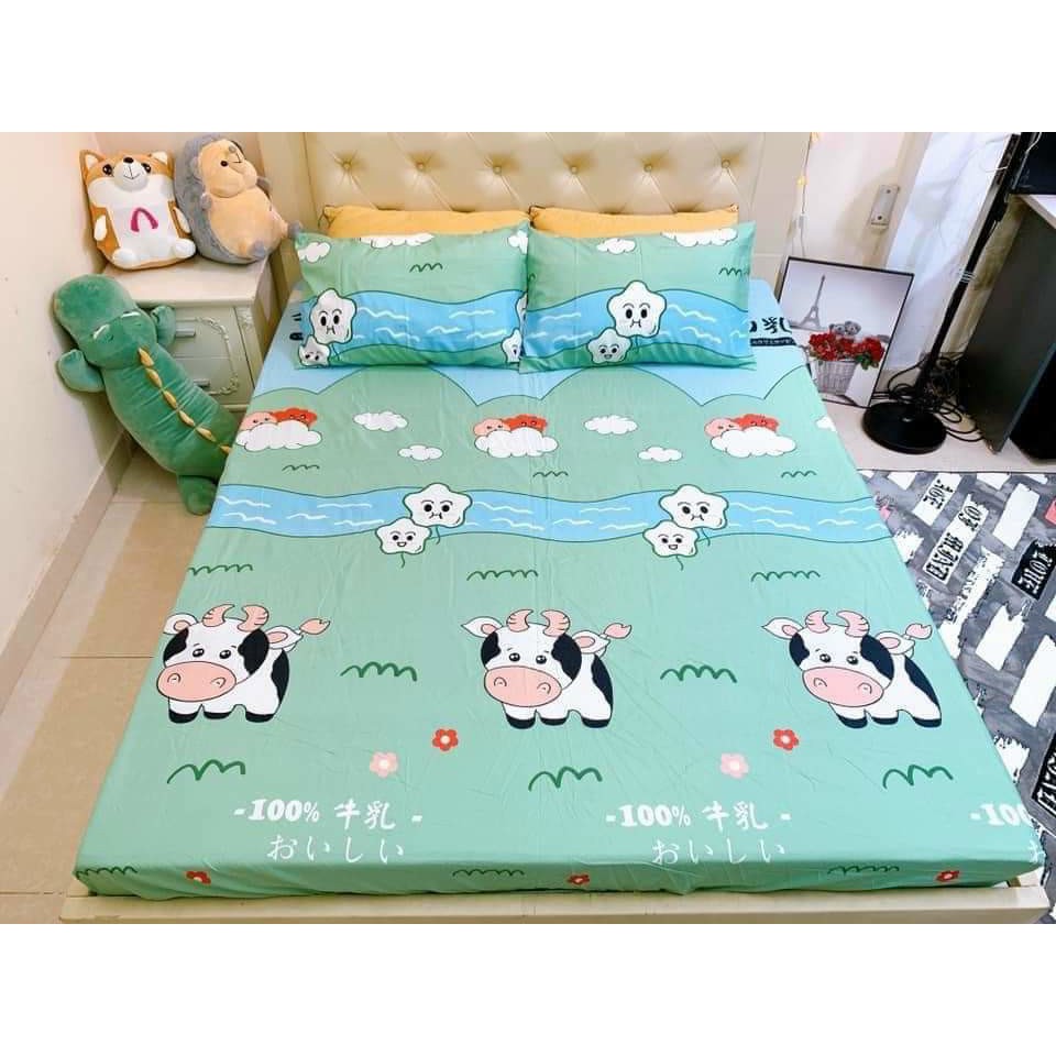 (Thanh lý) Bộ 3 món ga kèm 2 áo gối m6/m8/2m2 drap bo chun bọc nệm mẫu Khủng long xanh poly cotton