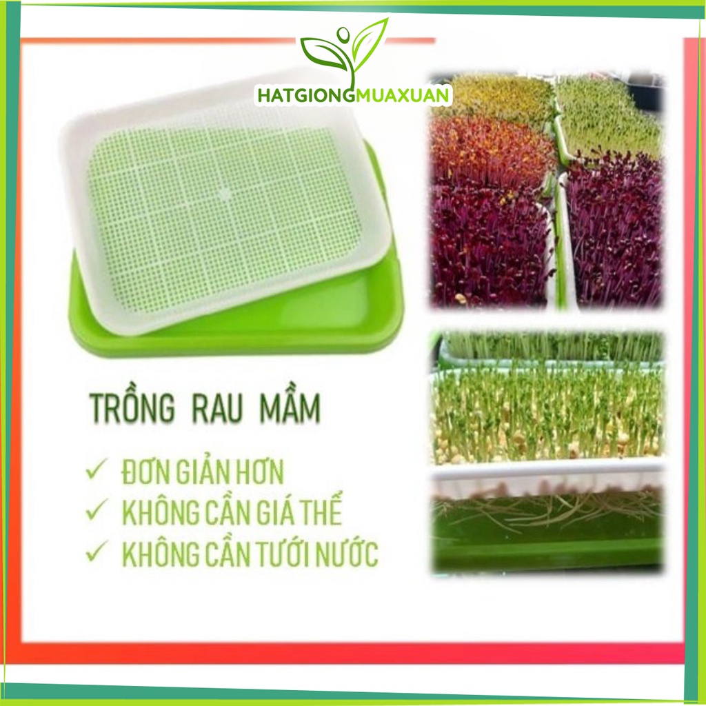 Khay Trồng Rau Mầm, Giá Đỗ Thông Minh Không Cần Giá Thể