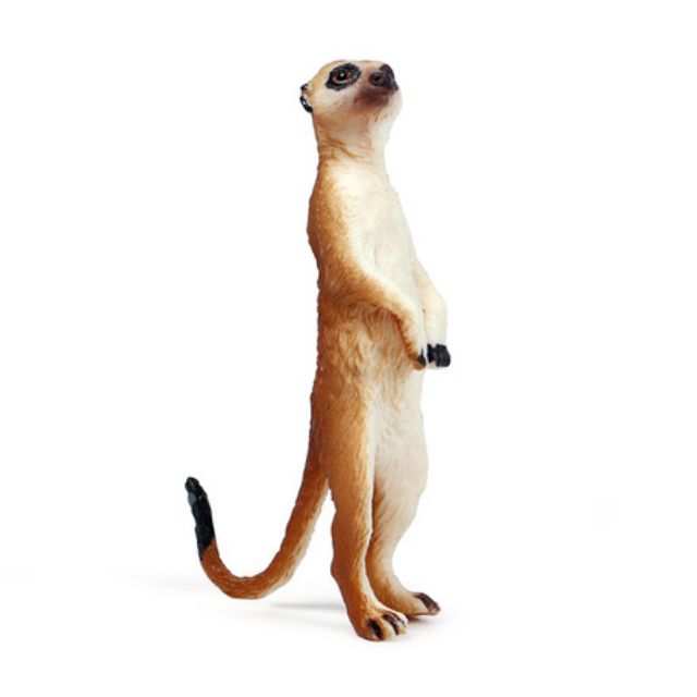 Đồ chơi Mô hình Chồn đất châu phi. Mô hình động vật siêu thực