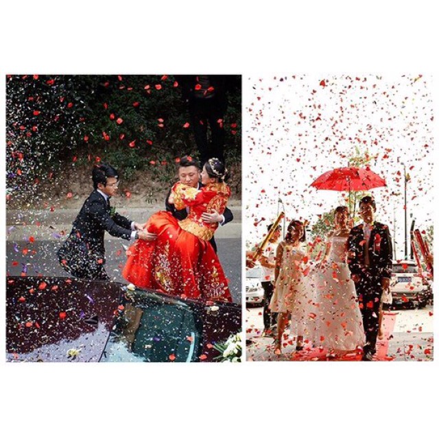 Pháo giấy đám cưới trái tim ❤️loại 80cm giá rẻ nhất  gia sàn