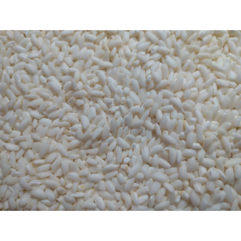 Nếp nương,đồi hạt to.