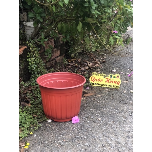 Chậu nhựa Nâu N20