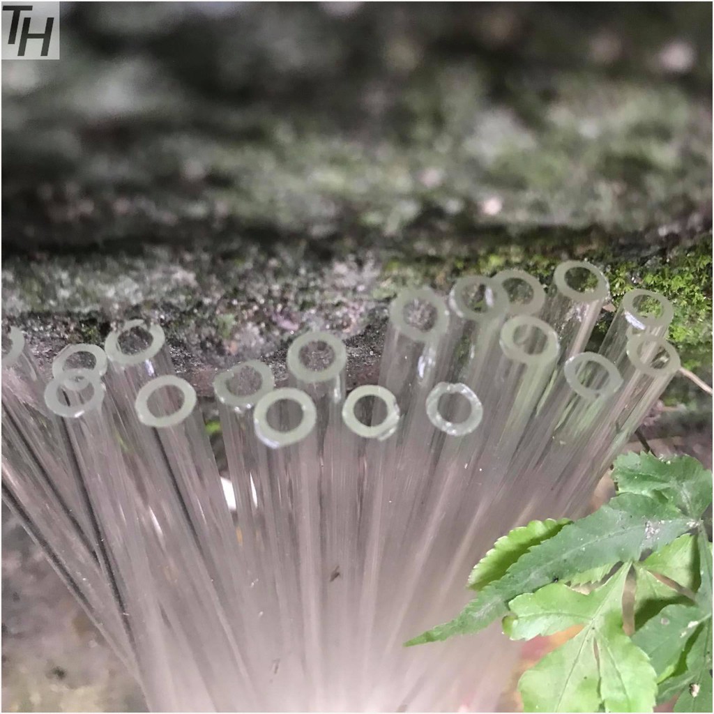 Ống thủy tinh 25 đoạn fi6 dài 20cm