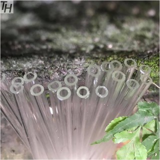 Ống thủy tinh 25 đoạn fi6 dài 20cm