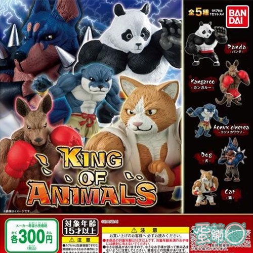 Đồ chơi Gacha mô hình King of Animal - Animal Fightings cực vui nhộn 6cm cập nhật thường xuyên HIMECHAN