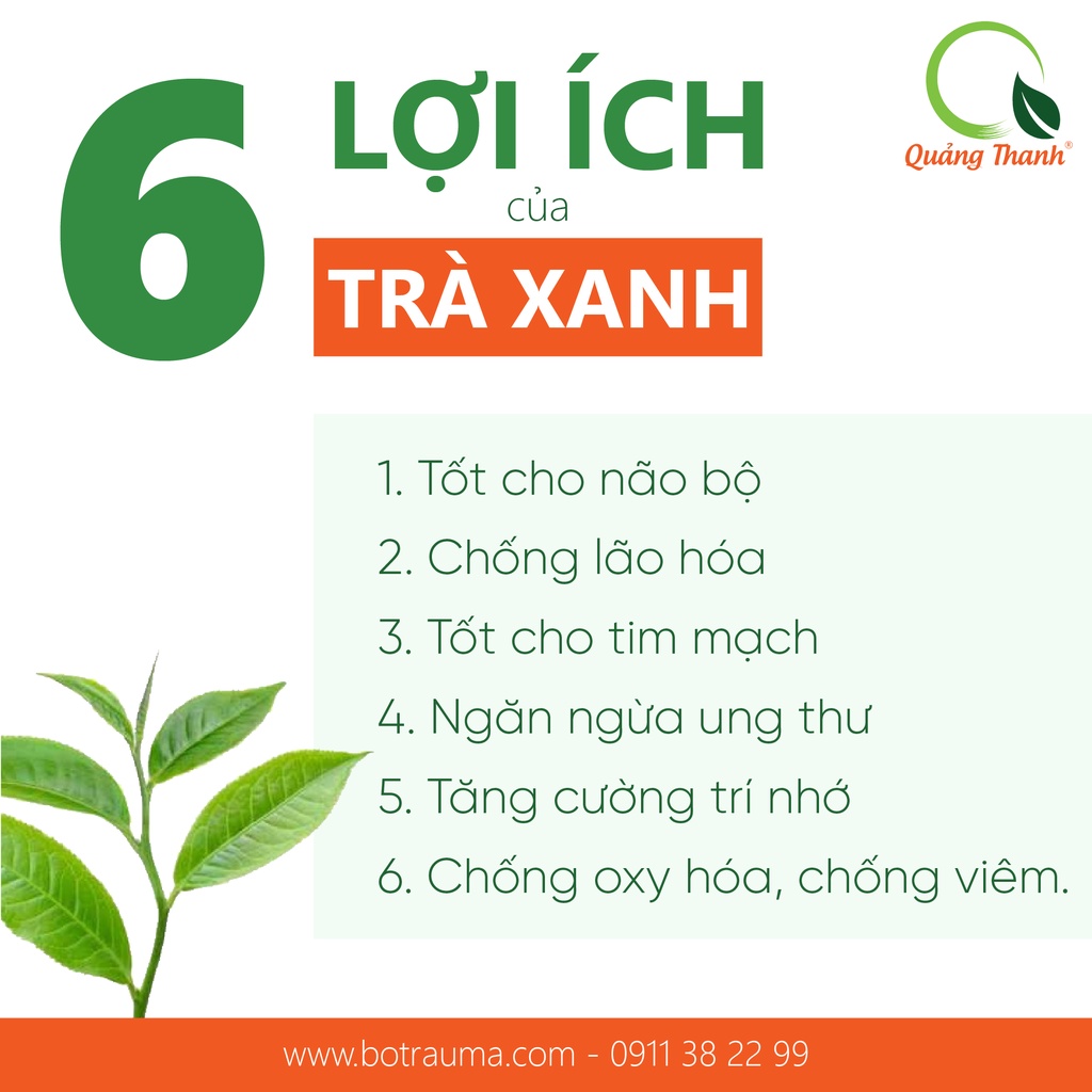 Bột Trà Xanh Quảng Thanh đắp mặt nạ - Đẹp da, ngăn lão hóa - Kèm Cọ quét mặt nạ cao cấp, muỗng nhựa trong suốt - Gói 50g