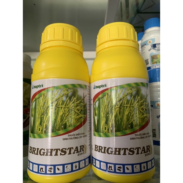 Điều hoà sinh trưởng cây trồng Brightstar 25SC của hợp trí