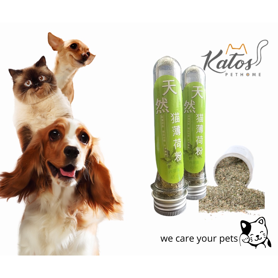 Catnip ống cho mèo