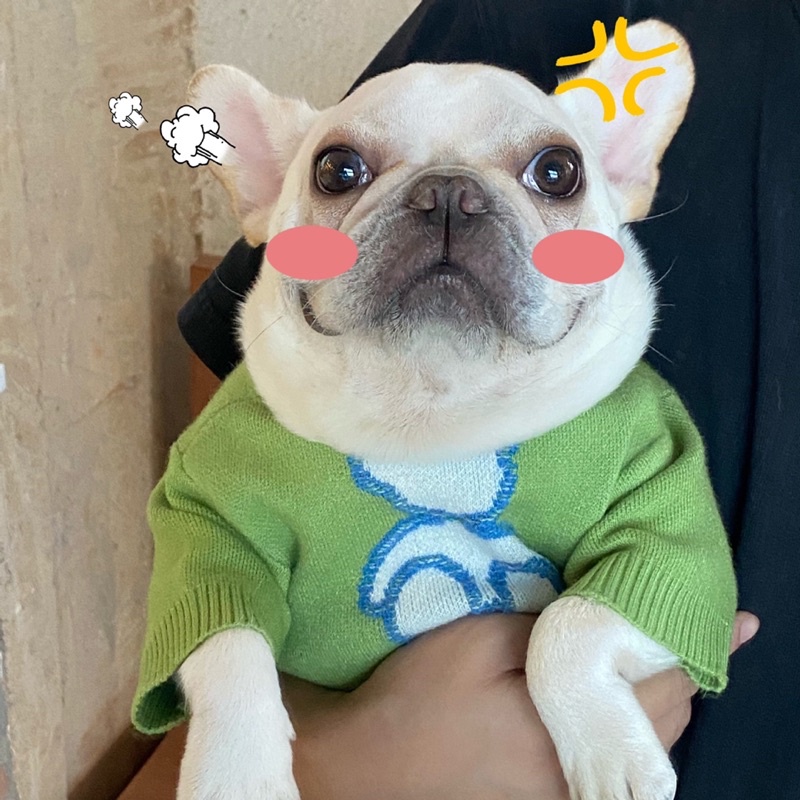 ÁO LEN GẤU XANH LÁ CHO CHÓ MÈO