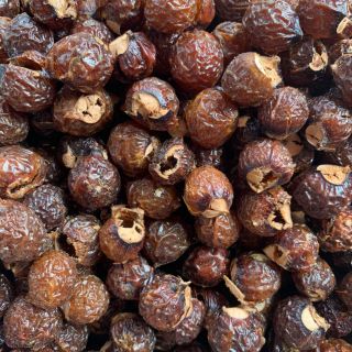 Bồ hòn tách hạt loại 1