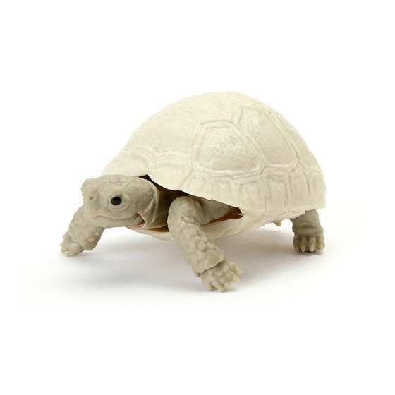 MÔ HÌNH TRỨNG GASHAPON BANDAI Rùa  TURTLE 05 NGẪU NHIÊN