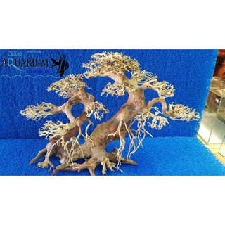 Cây Bonsai cho hồ cá size lớn