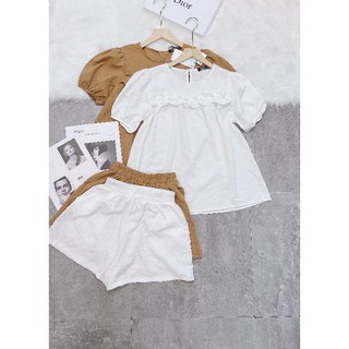 SET BỘ BÈO NGỰC TAY BỒNG