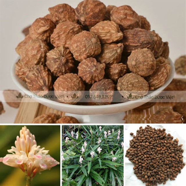 100g Ích Trí Nhân (Khô, Sạch, Đẹp)