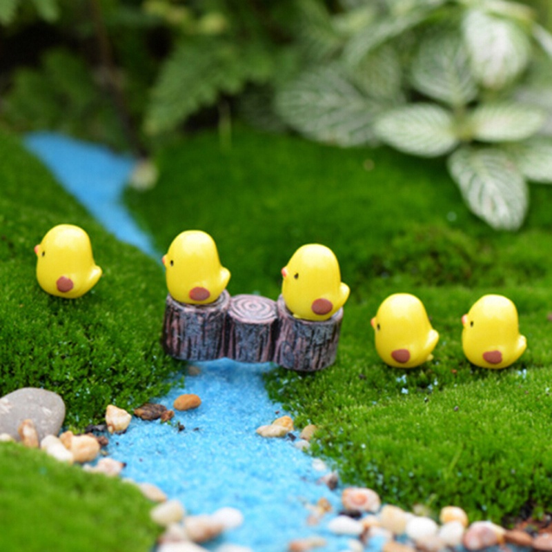 Set 5 chú gà con màu vàng mini dành cho trang trí tiểu cảnh
