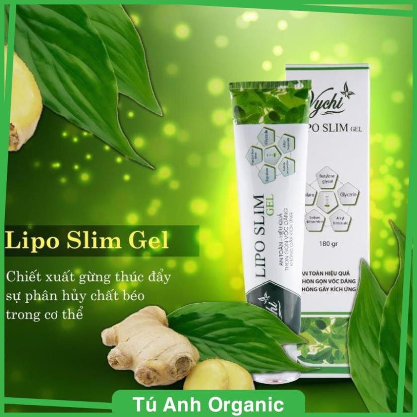 Gel tan mỡ/Kem tan mỡ - LIPO SLIM GEL VYCHI - giảm 3-5cm vòng bụng sau 1 TUẦN .