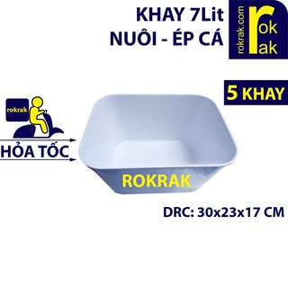 Khay nuôi cá 7 Lít Chậu nhựa ép cá guppy BỂ ép CÁ Betta