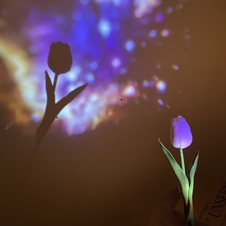 Đèn Ngủ Chiếu Hình Galaxy Lãng Mạn
