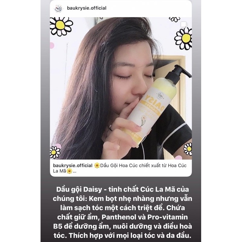 DAISY Shampoo - Dầu Gội Chiết Xuất Cúc La Mã