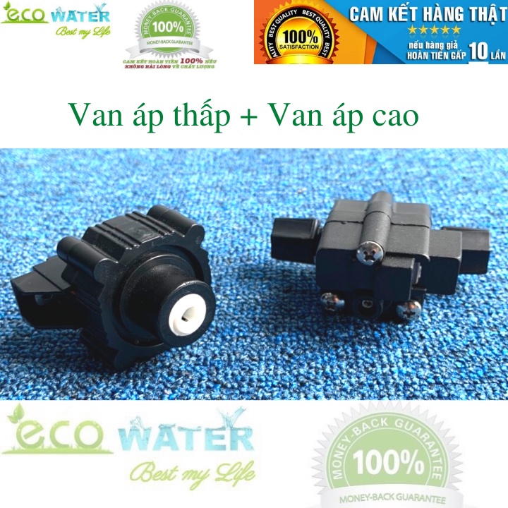 Bộ van áp thấp + van áp cao máy lọc nước - Ecocb001