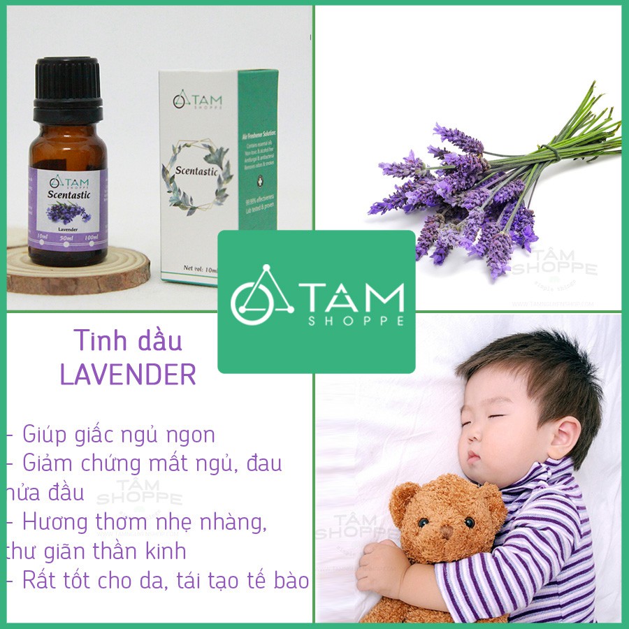 [TD THIÊN NHIÊN]  Tinh dầu oải hương (Lavender) SCENTASTIC 100ml