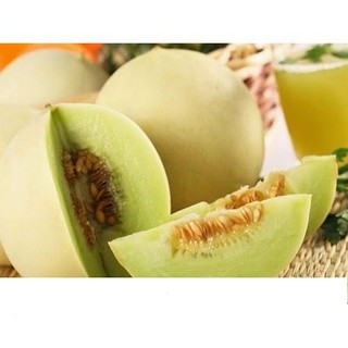 Hạt giống dưa lê siêu trái, siêu ngọt 0.5gr