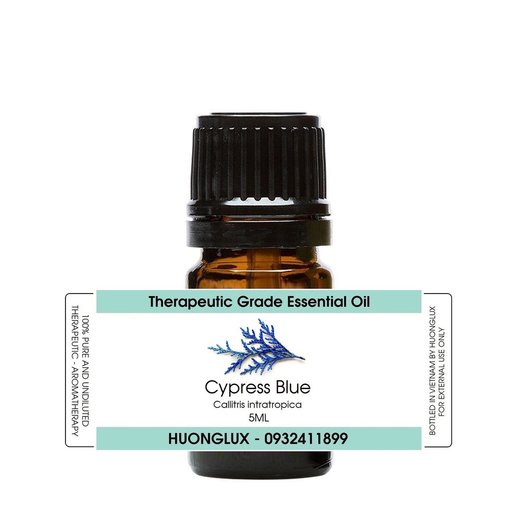 Tinh dầu gỗ Trắc xanh Blue Cypress Essential Oil