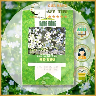 Hạt giống Hoa Baby Trắng RD 896 (0.03gr)