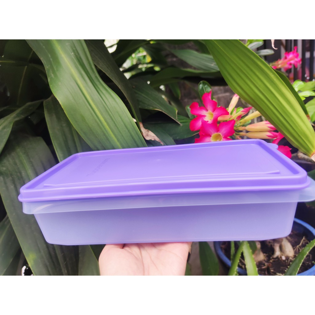 Tupperware💕Freeship💕 Hộp lẻ size - trữ đông/mát/khô - thanh lý giá siêu tốt