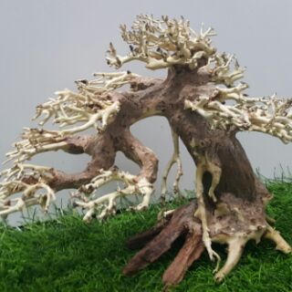 Lũa bon sai cấy rêu (dài25cm cao 15cm)